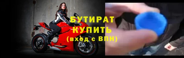 шишки Бикин